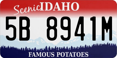 ID license plate 5B8941M