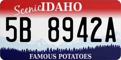 ID license plate 5B8942A