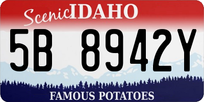 ID license plate 5B8942Y