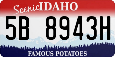 ID license plate 5B8943H