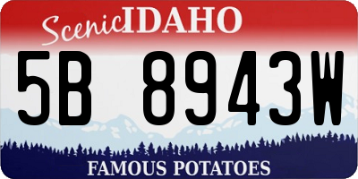 ID license plate 5B8943W