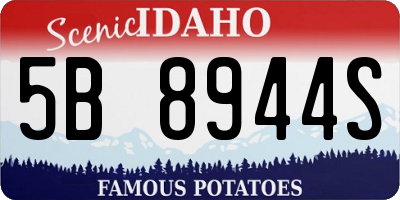 ID license plate 5B8944S