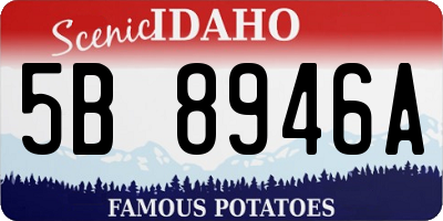 ID license plate 5B8946A
