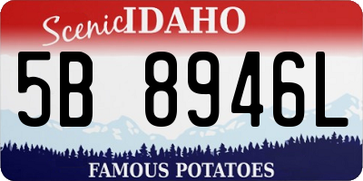 ID license plate 5B8946L