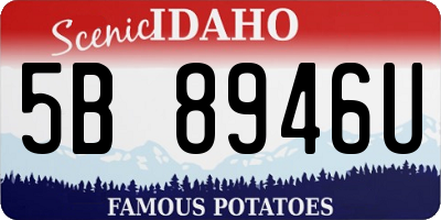 ID license plate 5B8946U