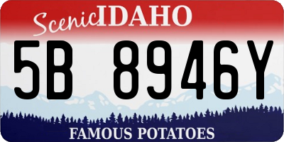 ID license plate 5B8946Y