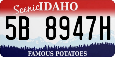 ID license plate 5B8947H