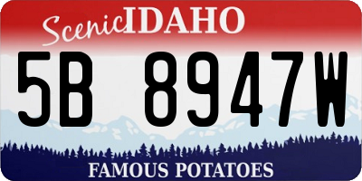 ID license plate 5B8947W