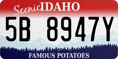ID license plate 5B8947Y
