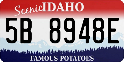 ID license plate 5B8948E