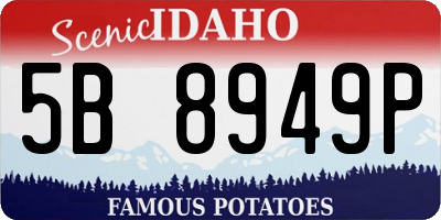 ID license plate 5B8949P