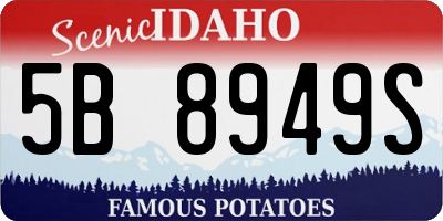 ID license plate 5B8949S