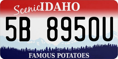 ID license plate 5B8950U