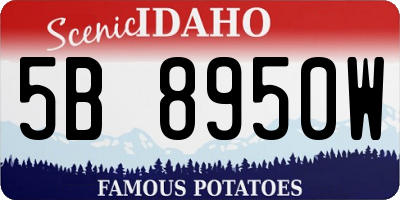 ID license plate 5B8950W