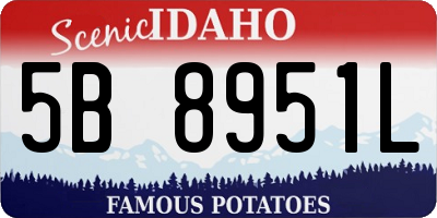 ID license plate 5B8951L