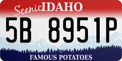 ID license plate 5B8951P
