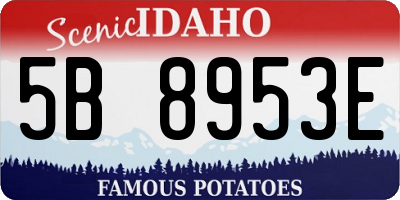 ID license plate 5B8953E