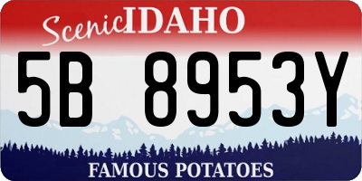 ID license plate 5B8953Y