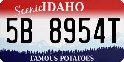 ID license plate 5B8954T
