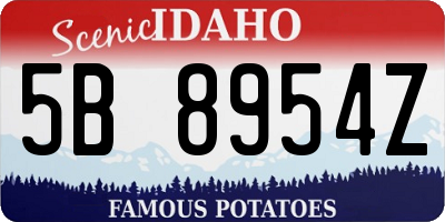ID license plate 5B8954Z