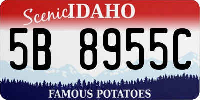ID license plate 5B8955C