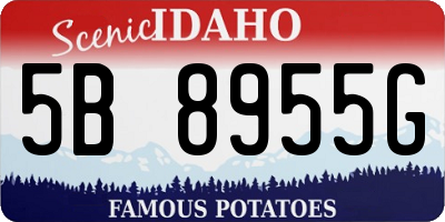 ID license plate 5B8955G