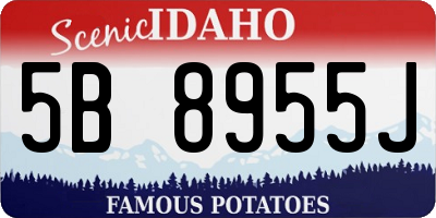 ID license plate 5B8955J
