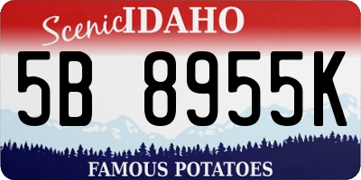 ID license plate 5B8955K