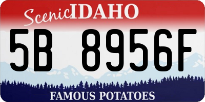 ID license plate 5B8956F