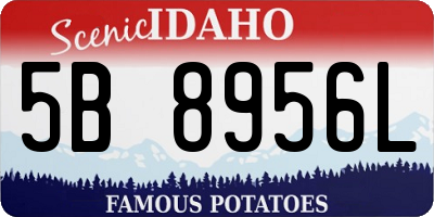 ID license plate 5B8956L