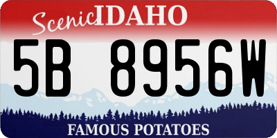 ID license plate 5B8956W