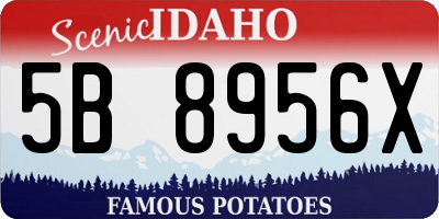 ID license plate 5B8956X
