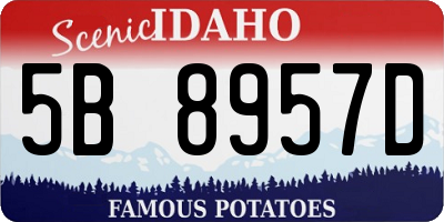ID license plate 5B8957D