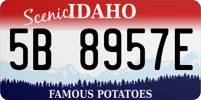 ID license plate 5B8957E