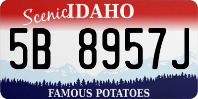 ID license plate 5B8957J