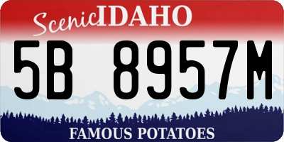 ID license plate 5B8957M
