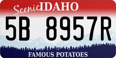 ID license plate 5B8957R