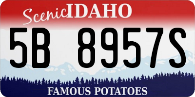 ID license plate 5B8957S