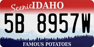 ID license plate 5B8957W