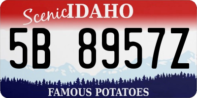 ID license plate 5B8957Z