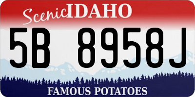 ID license plate 5B8958J