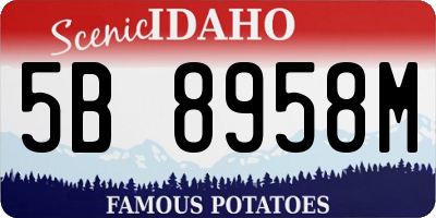 ID license plate 5B8958M