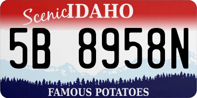 ID license plate 5B8958N