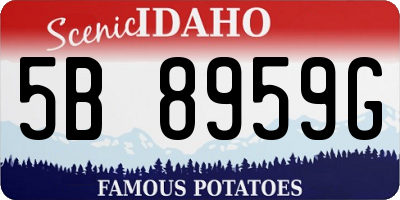 ID license plate 5B8959G