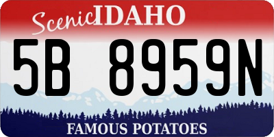 ID license plate 5B8959N