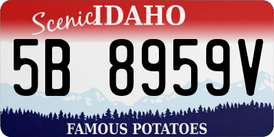 ID license plate 5B8959V
