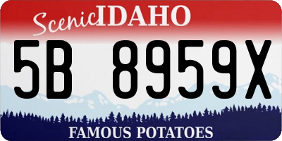 ID license plate 5B8959X