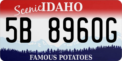 ID license plate 5B8960G