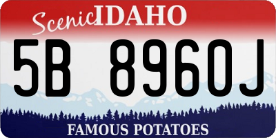 ID license plate 5B8960J
