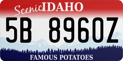 ID license plate 5B8960Z